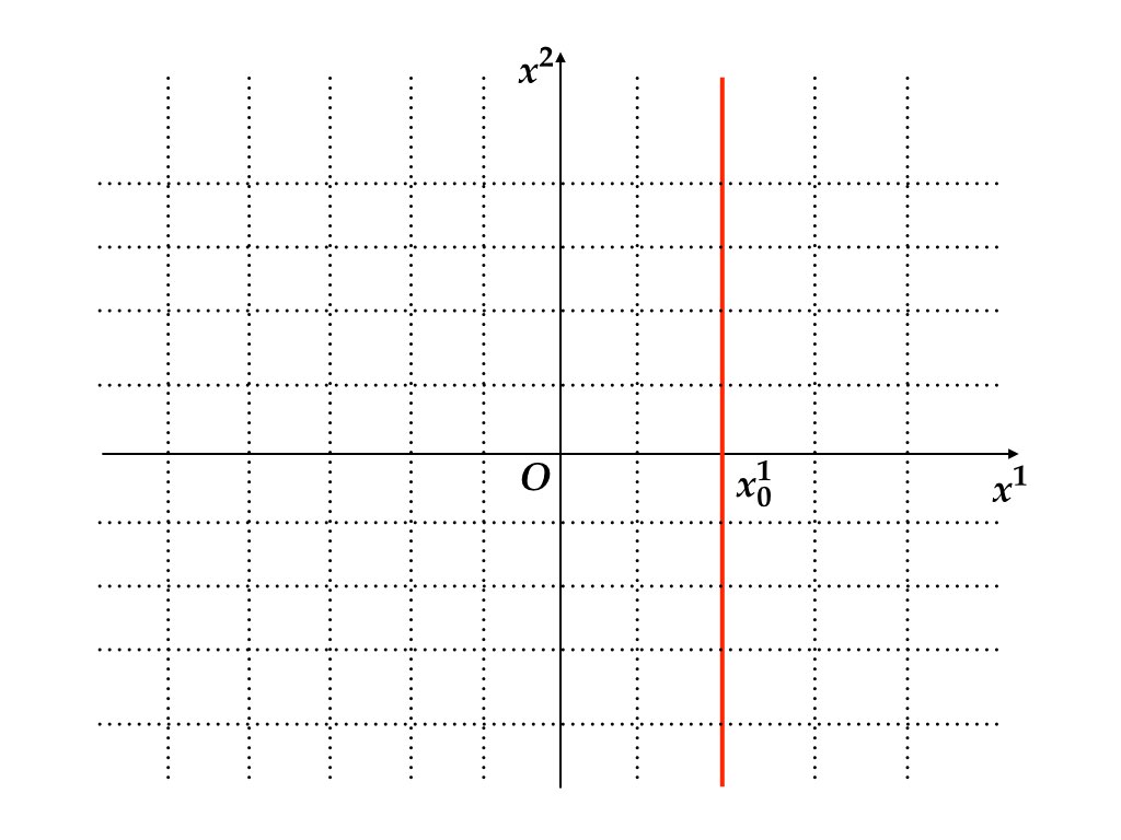 変換前の直交座標系. \(x_{0}^{1}\) だけが所与であり, \((x_{0}^{1},x_{0}^{2})\)は赤色実線上のどこかにある.
